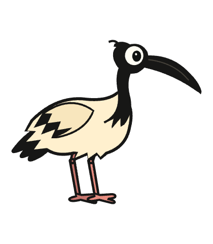 The game’s paper-cut Australian white ibis, with white plumage, a black head and a long curved bill.